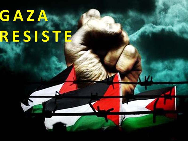 غَزَّةَ اَلصُّمُودْ Gaza resiste